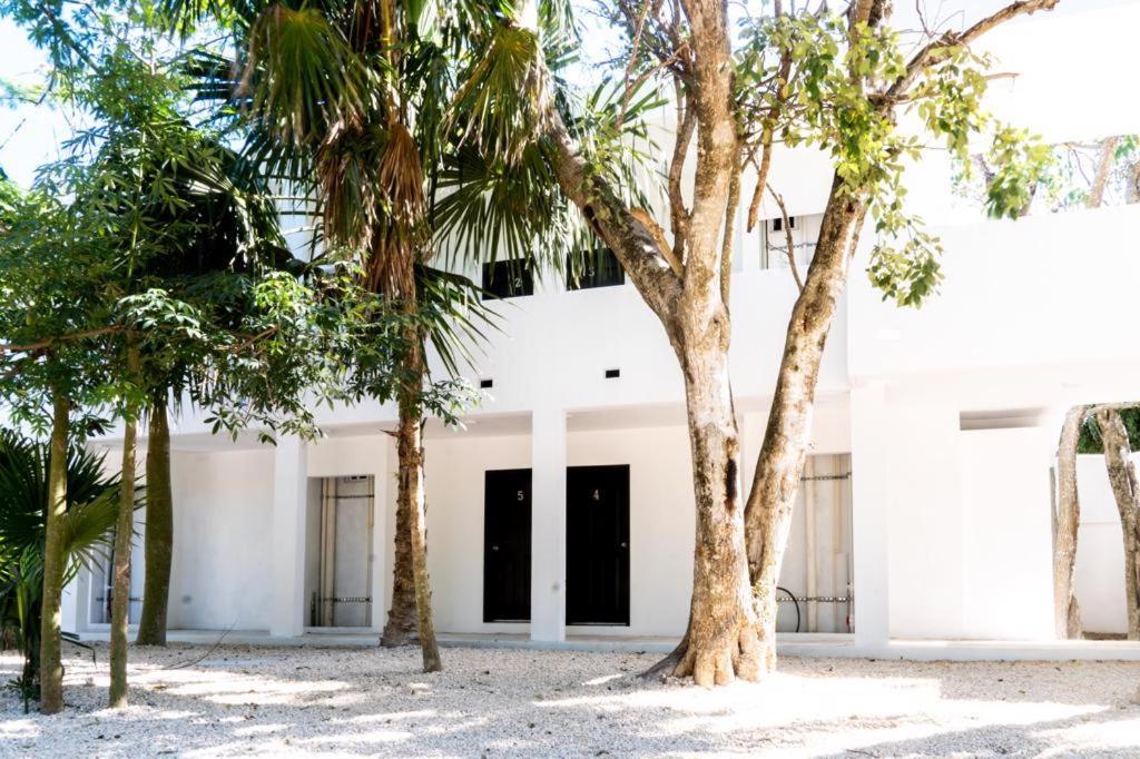 Hotel Casa Tortuga Tulum - Cenotes Park Inclusive 外观 照片 The house of the writer, in Mérida, Yucatán.